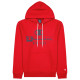 Champion Ανδρικό φούτερ Hooded Sweatshirt